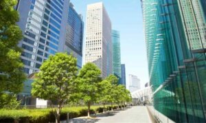 Descubre qué es el paisajismo urbano, que elementos lo compone y sus beneficios clave.