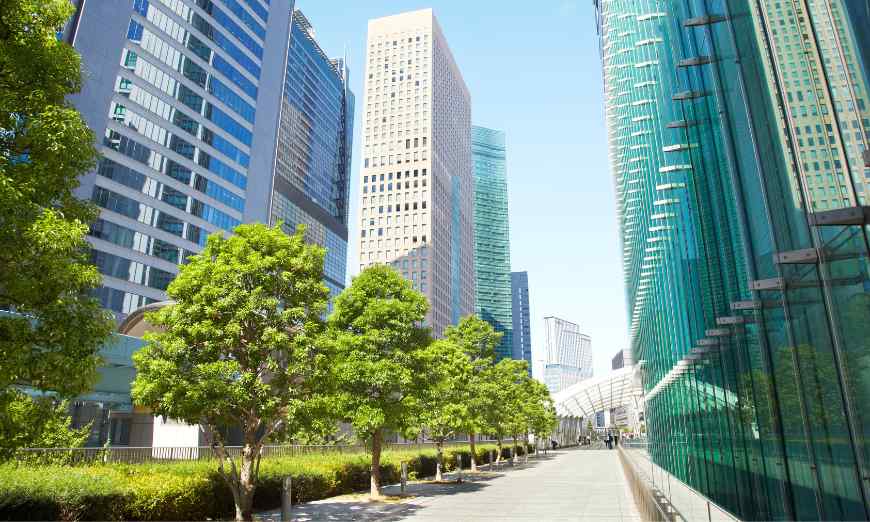 Descubre qué es el paisajismo urbano, que elementos lo compone y sus beneficios clave.